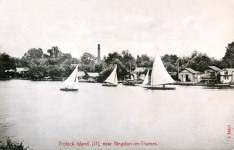 Teddington Trowlock Island,river view